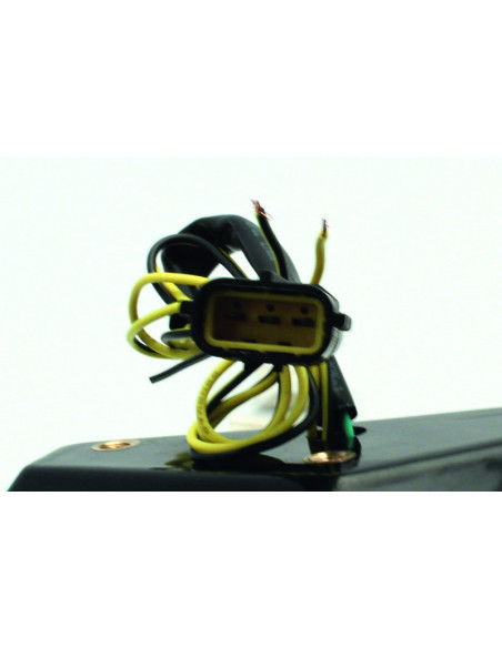 Feu arrière BIHR LED avec clignotants intégrés Triumph SPEED TRIPLE 1050/SPRINT ST 1050