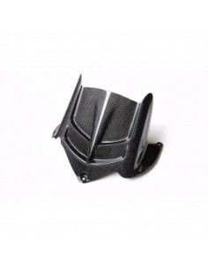 Garde boue arrière LIGHTECH carbone brillant Kawasaki Zx6R