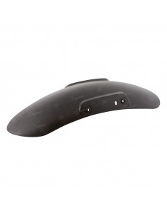 Garde-boue avant LIGHTECH carbone brillant - BMW Nine-T