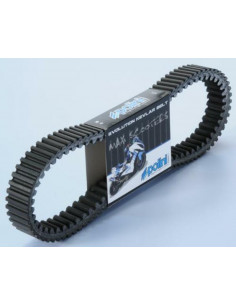 Courroie de transmission POLINI V-Belt renforcée