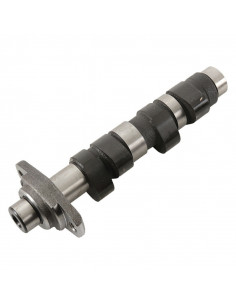 Arbre à cames HOT CAMS - Niveau 1 Honda XR400R 2