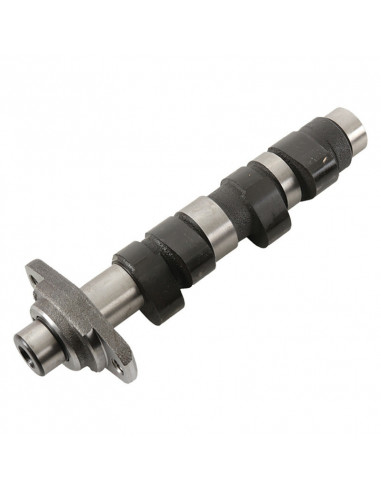 Arbre à cames HOT CAMS - Niveau 1 Honda XR400R