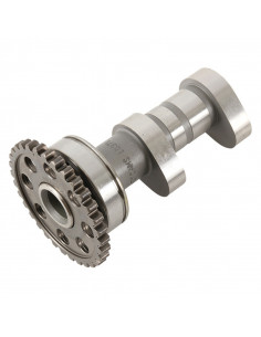 Arbre à cames admission HOT CAMS - Niveau 2 Yamaha YZ450F 2