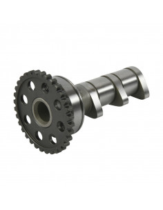 Arbre à cames admission HOT CAMS - Niveau 1 Yamaha YFZ450 2