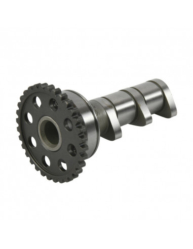 Arbre à cames admission HOT CAMS - Niveau 1 Yamaha YFZ450