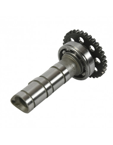 Arbre à cames admission HOT CAMS - Niveau 1 Yamaha YFZ450