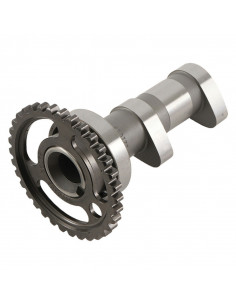 Arbre à cames admission HOT CAMS - Niveau 1 Suzuki LT-R450 2