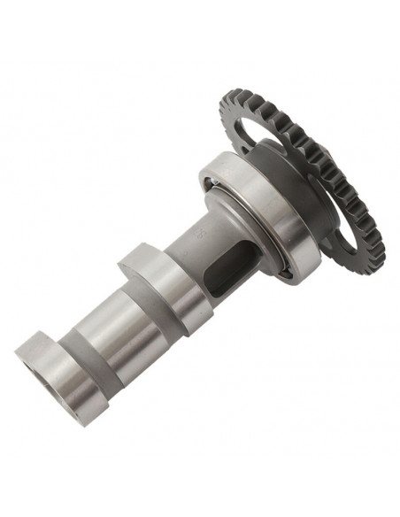 Arbre à cames échappement HOT CAMS - Niveau 1 Suzuki LT-R450