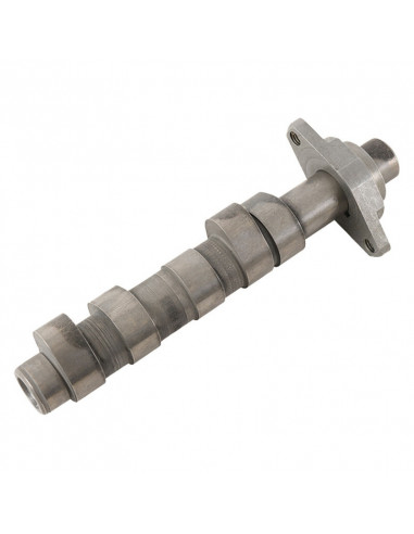 Arbre à cames HOT CAMS - Niveau 1 Honda