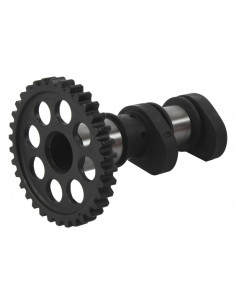 Arbre à cames admission HOT CAMS - Niveau 2 2