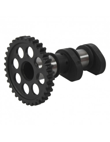 Arbre à cames admission HOT CAMS - Niveau 2