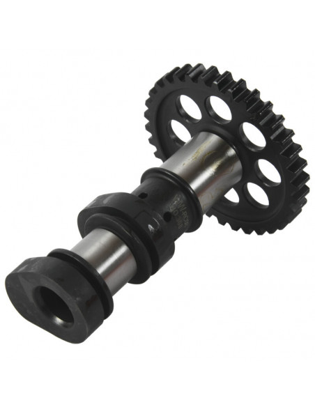 Arbre à cames admission HOT CAMS - Niveau 2