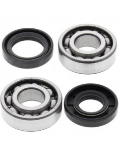 Kit roulements et joints spi de vilebrequin ALL BALLS 2