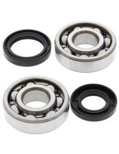 Kit roulements et joints spi de vilebrequin ALL BALLS 2