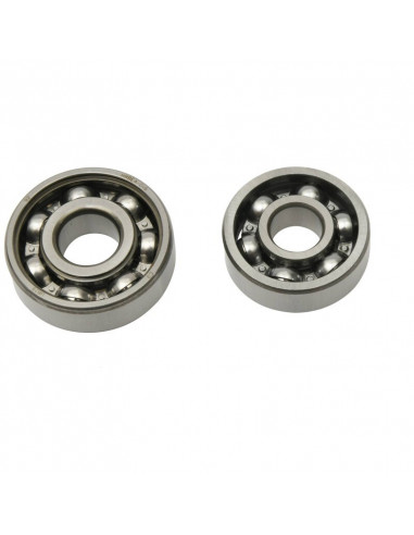 Jeu de roulement de contrepoids HOT RODS- Honda TRX 400 EX / X