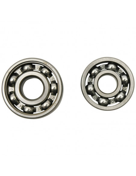 Jeu de roulement de contrepoids HOT RODS- Honda TRX 400 EX / X