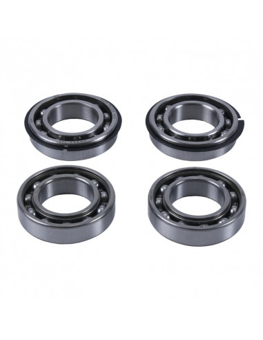 Jeu de roulement de contrepoids HOT RODS - Polaris