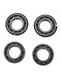 Jeu de roulement de contrepoids HOT RODS - Polaris 2