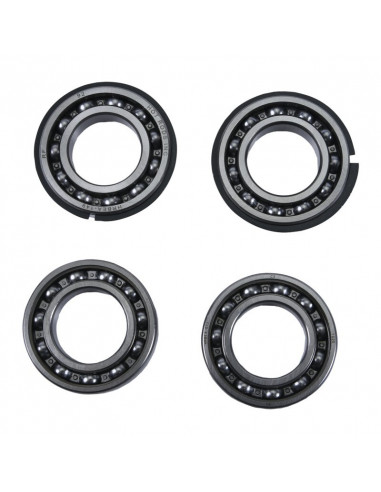 Jeu de roulement de contrepoids HOT RODS - Polaris