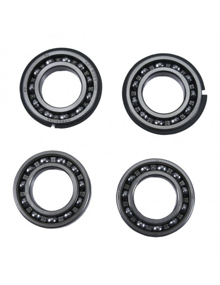 Jeu de roulement de contrepoids HOT RODS - Polaris