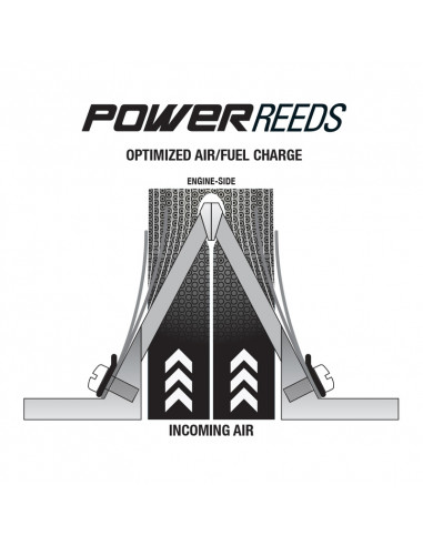 Clapets BOYESEN Power Reeds - 612