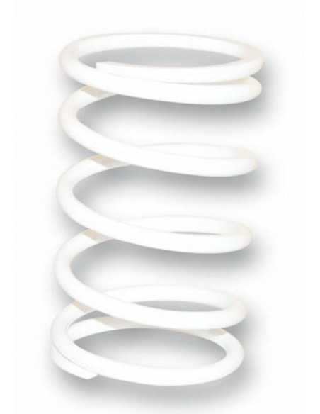 Ressort de poussée super-renforcé MALOSSI BMW C600/C650GT