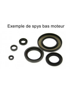 Jeu de joints spi CENTAURO