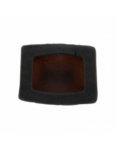 Kit filtre à air + cage intérieure TWIN AIR - 157033C Aprilia