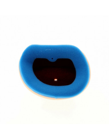 Filtre à air TECNIUM - 5342 Yamaha WR250/450F