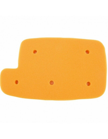 Filtre à air TWIN AIR - 158263 Arctic Cat 250/400 Utility