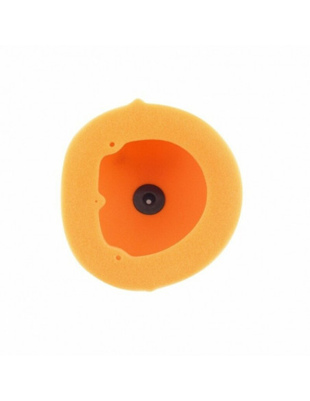 Filtre à air TWIN AIR - 150102 Honda