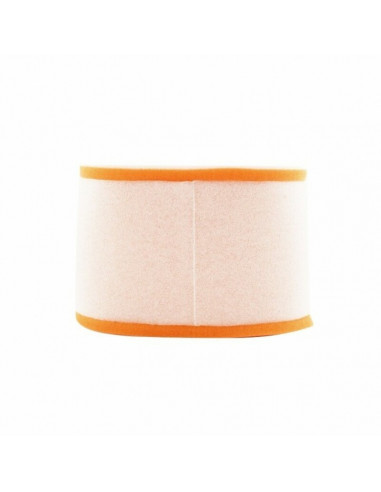 Filtre à air TWIN AIR - 156005 Maico