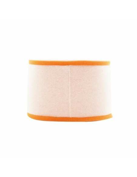 Filtre à air TWIN AIR - 156005 Maico