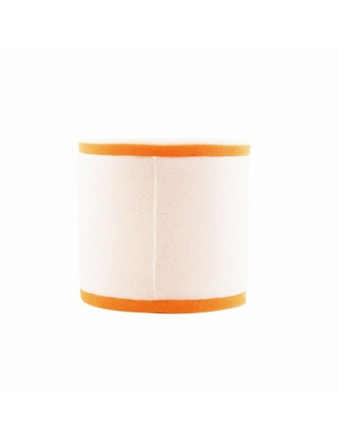 Filtre à air TWIN AIR - 156001 Maico