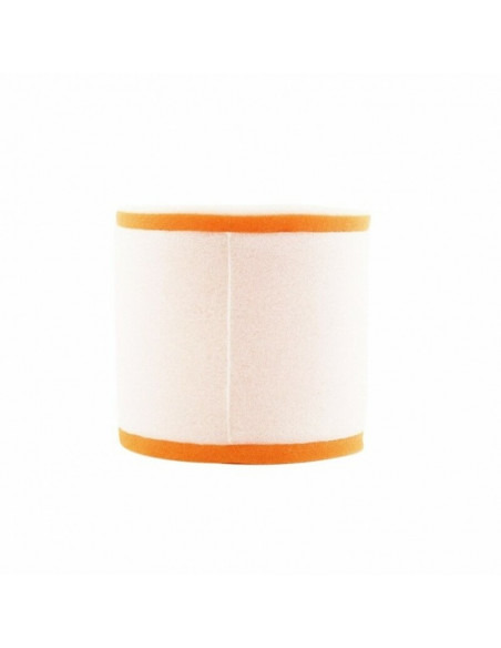 Filtre à air TWIN AIR - 156001 Maico