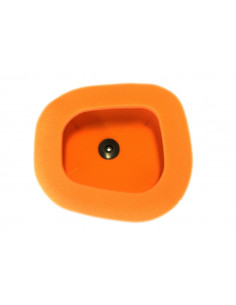 Filtre à air TWIN AIR - 151124 Kawasaki KX450 2