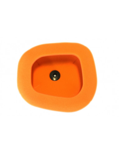 Filtre à air TWIN AIR - 151124 Kawasaki KX450