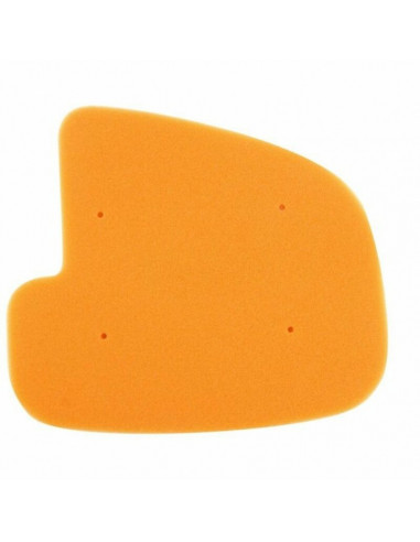 Filtre à air TWIN AIR - 151911 Kawasaki