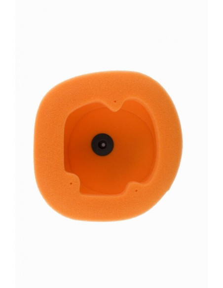 Filtre à air TWIN AIR - 158033 Beta RR