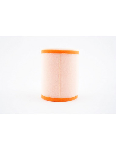 Filtre à air TWIN AIR - 153908