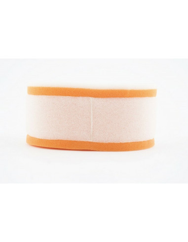 Filtre à air TWIN AIR - 153602 Suzuki DR650