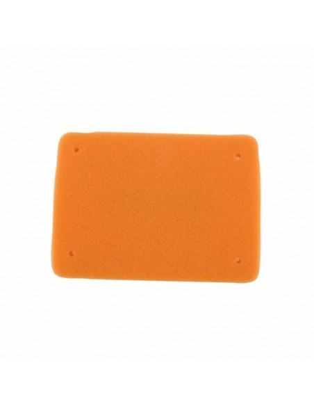 Filtre à air TWIN AIR - 158025 Fantic