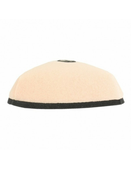 Filtre à air TWIN AIR résistant au feu - 152220FRBIG