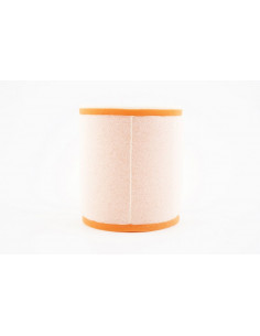 Filtre à air TWIN AIR - 158210 Ossa 2