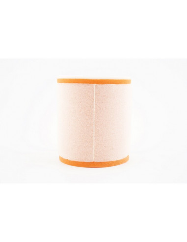 Filtre à air TWIN AIR - 158210 Ossa