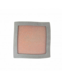 Filtre à air TWIN AIR kit Powerflow 797550 - 156141FR 797550 Polaris Predator 500 2