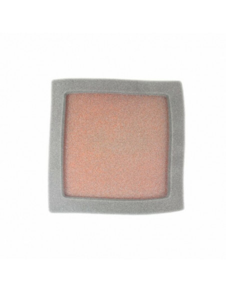 Filtre à air TWIN AIR kit Powerflow 797550 - 156141FR 797550 Polaris Predator 500