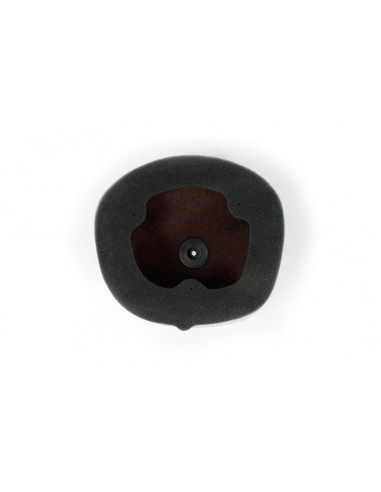 Filtre à air TWIN AIR kit Powerflow 791561 - 150222FR 791561 Honda CRF450/250R