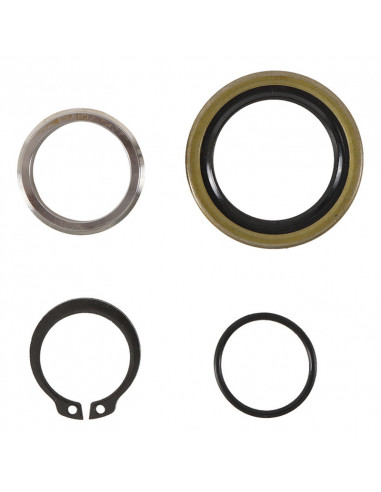 Kit reconditionnement arbre de sortie de boîte HOT RODS - KTM / Husqvarna