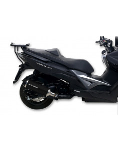 Ligne complète MALOSSI Wild Lion alu/carbone - Kymco AK550